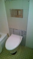 Temporary installation - toilet and flush plate.jpg