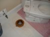 Toilet Leak 2008 (LoRes) 001.jpg