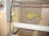 tub vent line and water lines.jpg
