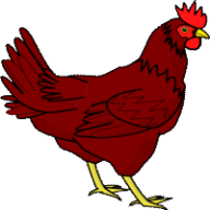 thirsytchicken