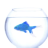BlueGoldfish
