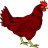 chicken32