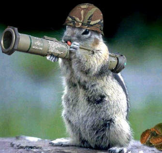 squirrel+army.jpg