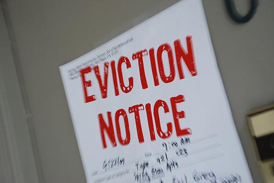 OLA-BCLA-Eviction-Notice.jpg