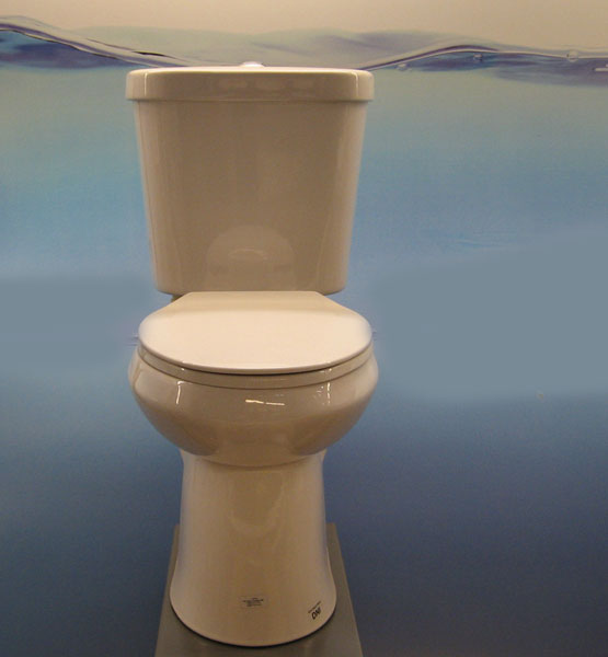 Where can you buy a Glacier Bay toilet?