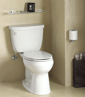 Kohler Cimarron toilet review,