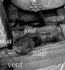 Trap_01bw.jpg