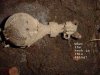 Water Meter.jpg