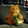 707703.gif
