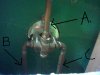 shower valve.jpg