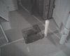 img026.jpg img026.jpg