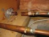 woodford 22 cut.JPG