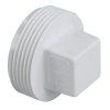 2 In. PVC DWV Cleanout Plug MIPT.jpg