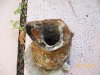 jse_100_0327.jpg