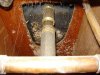 mckeand12_tub_trap_2.jpg