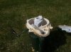 Top of well_1.jpg Top of well_1.jpg