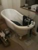 tub.jpg