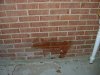 DSCF0074.jpg