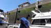 crab_2011_1204.jpg