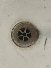 IMG_2045.jpeg