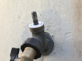 IMG_0636.jpeg
