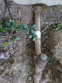 PXL_20250513_174607858.jpg