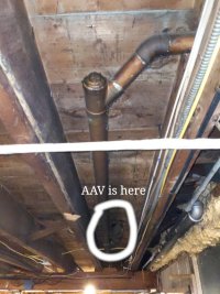 aav-photo.jpg aav-photo.jpg