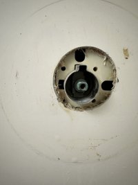 IMG_8100.jpeg