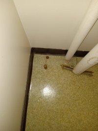 20250908_211521-min.jpg