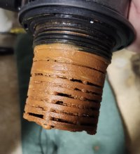 20250328_124642.jpg 20250328_124642.jpg