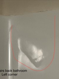 IMG_6377.jpeg