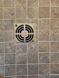 drain.1.jpg