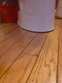 20260620_173315.jpg