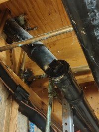 IMG_20260725_142451267_HDR (Medium).jpg IMG_20260725_142451267_HDR (Medium).jpg