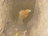 well seal with casing.jpg well seal with casing.jpg