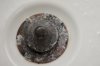 DSC07646.jpg