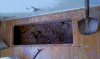 Floor Opening to Basement  JP.JPG