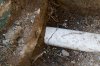 drain-at-septic_0770.jpg