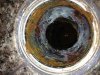 IMG_0441_compressed.jpg