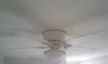 IMAG0944 (Medium).jpg