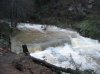 low size streambed.jpg