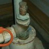 WEL-HEAD.jpg