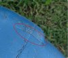 Crack in brine barrel.jpg Crack in brine barrel.jpg