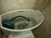 PB064602sm.JPG