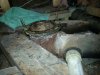 20121107_081052.jpg