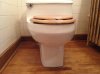 toilet_ws.jpg