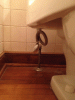 watersupply.gif watersupply.gif