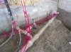 Existing sewer_6.jpg