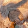 scoredcementaroundpipe.jpg