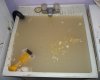 Utility Sink Jan 4 2013 AM.jpg